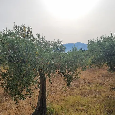 Onda Blu Appartamento Carini
